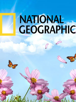 national_geographic.jpg
