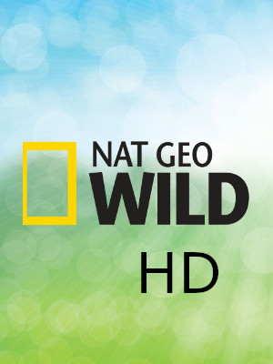 net geo wild HD